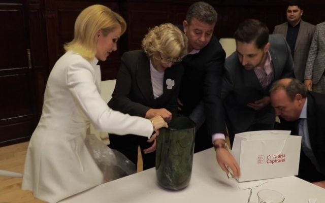 Imagini pentru firea vaza