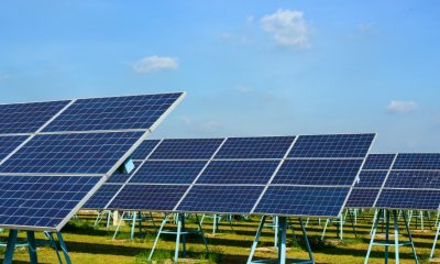 panouri solare industriale